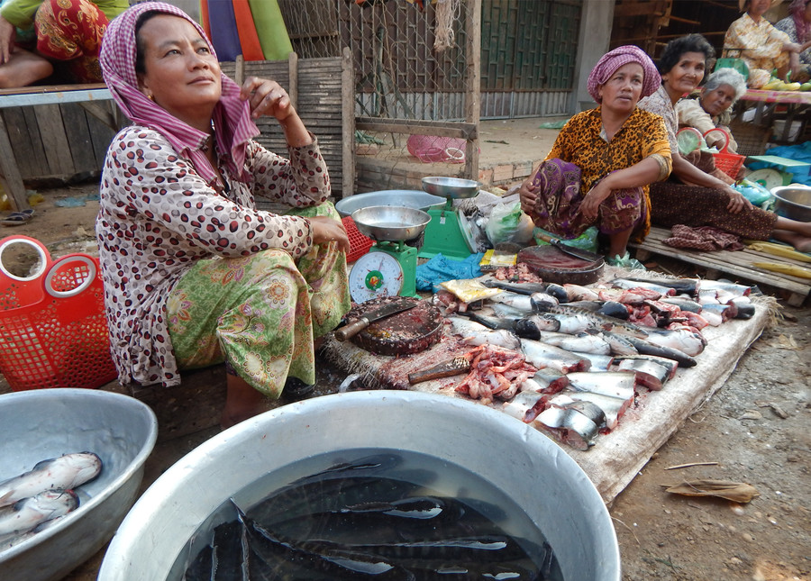 Women selling freshwater fish in Kratie Province, Cambodia (Photo Andreas Neef